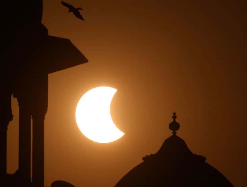 صورة المقال